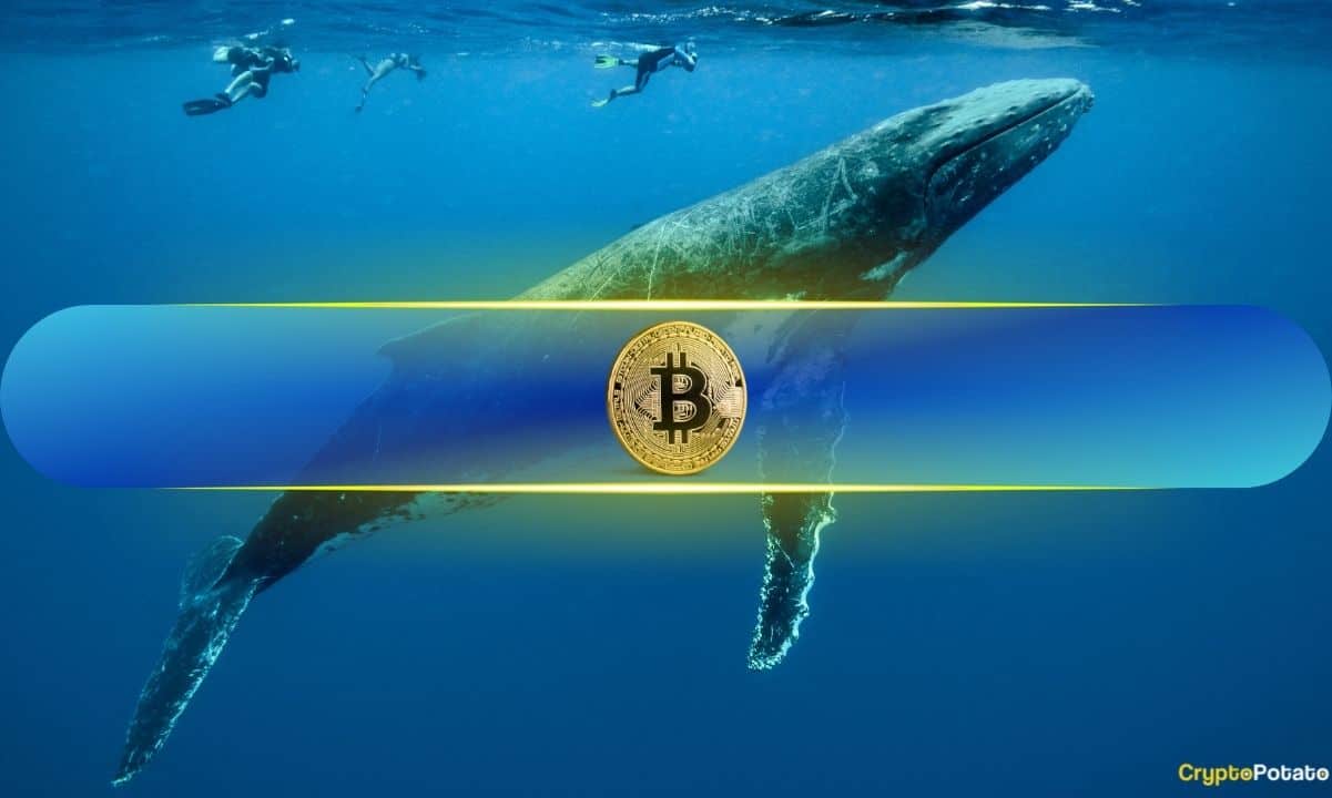 Bitcoin Whales Seize 68% of Supply After Adding 218,570 BTC